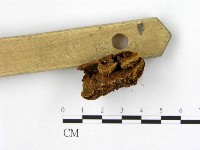 登錄號:F0007207藏品圖，第3張