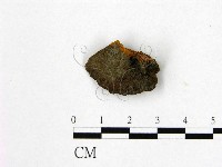 登錄號:F0007208藏品圖，第3張