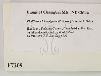 登錄號:F0007209藏品圖，第2張