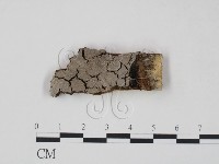 登錄號:F0007209藏品圖，第1張