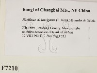 登錄號:F0007210藏品圖，第2張