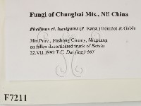 登錄號:F0007211藏品圖，第2張