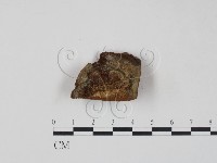 登錄號:F0007211藏品圖，第3張