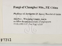 登錄號:F0007212藏品圖，第2張