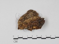 登錄號:F0007212藏品圖，第3張