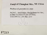 登錄號:F0007213藏品圖，第2張