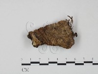 登錄號:F0007213藏品圖，第3張