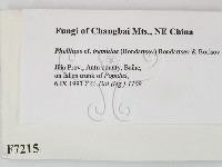 登錄號:F0007215藏品圖，第2張