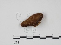 登錄號:F0007215藏品圖，第1張