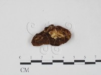 登錄號:F0007215藏品圖，第3張