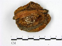 登錄號:F0007217藏品圖，第3張