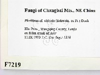 登錄號:F0007219藏品圖，第2張