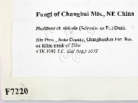 登錄號:F0007220藏品圖，第2張