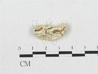 登錄號:F0007221藏品圖，第3張