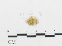 登錄號:F0007222藏品圖，第1張