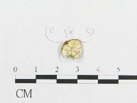 登錄號:F0007222藏品圖，第3張