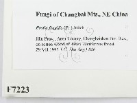 登錄號:F0007223藏品圖，第2張