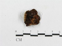 登錄號:F0007223藏品圖，第3張