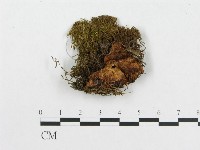 登錄號:F0007224藏品圖，第3張