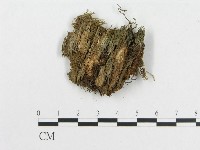 登錄號:F0007224藏品圖，第4張