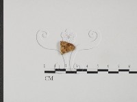 登錄號:F0007225藏品圖，第3張