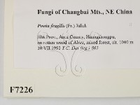 登錄號:F0007226藏品圖，第2張
