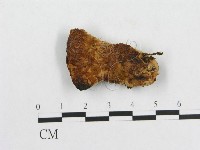 登錄號:F0007227藏品圖，第3張