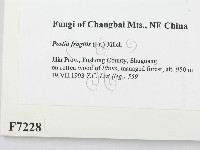 登錄號:F0007228藏品圖，第2張