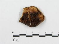 登錄號:F0007228藏品圖，第1張