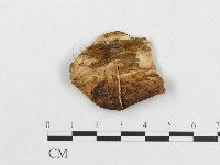 登錄號:F0007228藏品圖，第3張