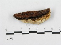 登錄號:F0007229藏品圖，第1張