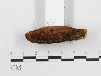 登錄號:F0007229藏品圖，第4張