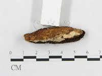 登錄號:F0007229藏品圖，第5張