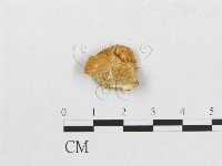 登錄號:F0007230藏品圖，第1張