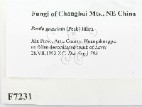 登錄號:F0007231藏品圖，第2張