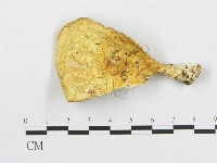 登錄號:F0007231藏品圖，第1張