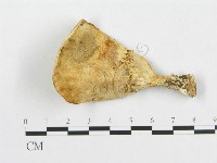 登錄號:F0007231藏品圖，第3張