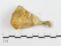 登錄號:F0007231藏品圖，第4張