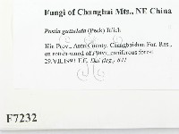 登錄號:F0007232藏品圖，第2張