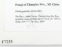 登錄號:F0007233藏品圖，第2張