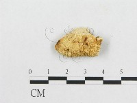 登錄號:F0007233藏品圖，第3張