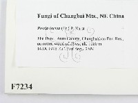 登錄號:F0007234藏品圖，第2張