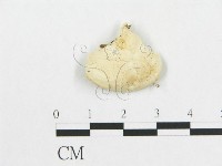 登錄號:F0007235藏品圖，第4張