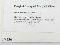 登錄號:F0007236藏品圖，第2張