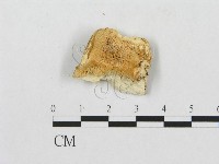 登錄號:F0007236藏品圖，第3張