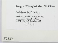 登錄號:F0007237藏品圖，第2張