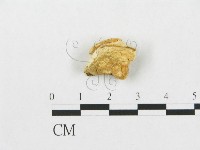 登錄號:F0007237藏品圖，第1張