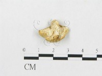 登錄號:F0007237藏品圖，第3張