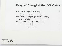 登錄號:F0007238藏品圖，第2張