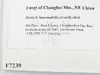 登錄號:F0007239藏品圖，第2張